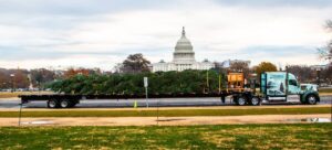 Why Sponsor the U.S. Capitol Christmas Tree?