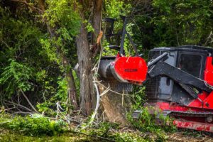 5 Must-Have Land Clearing Tools for Construction Projects