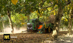 Successful Hazelnut Harvests in the Fall Start with Spring Preparation