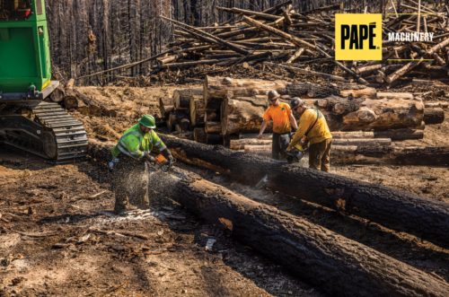 Forestry Clean-Up: How to Turn Wood Waste Into a Valuable Resource